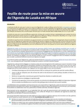 Roadmap for Implementation of the Lusaka Agenda in Africa_FR