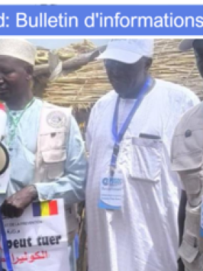 OMS Tchad : Bulletin mensuel d'Informations, août 2025