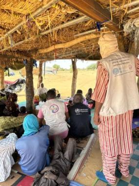 Appui de l’OMS aux Organisations Non-Gouvernementales du cluster Santé au Mali 