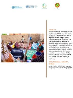 Rapport de Mission – Santé Mentale et MNT dans le Hodh El Chargui