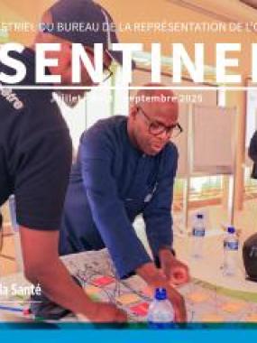 Discussions lors de l'atelier stratégique visant le renforcement de la collaboration intersectorielle selon l’approche « Une seule Santé ».