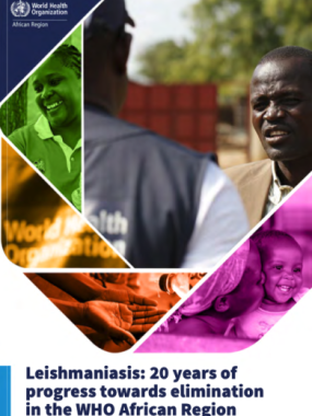 Leishmaniasis: 20 years of progress towards elimination in the WHO African Region