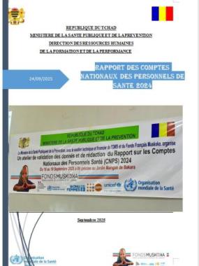 RAPPORT DES COMPTES NATIONAUX DES PERSONNELS DE SANTE 2024