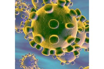De 2019-nCoV à Covid-19, le nouveau coronavirus change de nom
