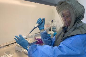 Africa records over 500 000 COVID-19 cases