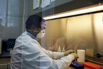 Genome sequencing in Ebola response