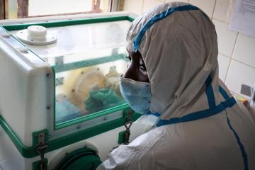 Leaving a legacy after Ebola in Guinea