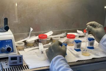 Recherche en Santé