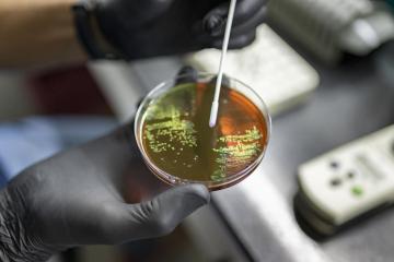 The Gambia launches national plan to tackle antimicrobial resistance