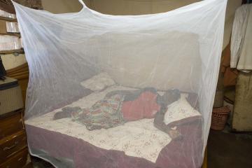 Protecting families against malaria using Long-Lasting Insecticide Nets