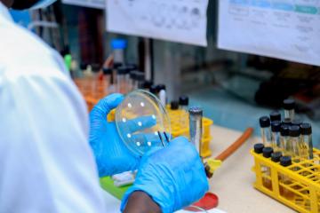 Scaling up response to anthrax outbreak in the Democratic Republic of the Congo thumbnail