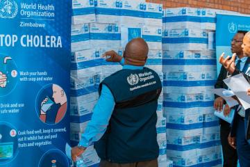Zimbabwe undertakes second Joint External Overview to strengthen National Health Security thumbnail