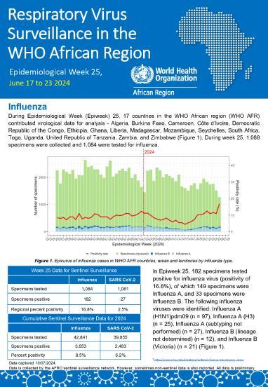 Cholera in the WHO African Region | WHO | Regional Office for Africa