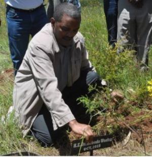 State Minister of Health, Dr Kebede Worku, planting a tree at the Heritage Trust site.