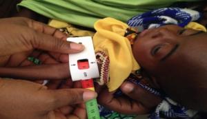 Malnutrition screening at Kwaya Kusar LGA by health worker WHO