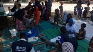 Mobile Hard-to-Reach team providing integrated basic primary healthcare services in a Borno community. M Shafiq/WHO