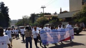 Partial view of participants at WHD2016 mass walk