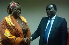 (L-R) Her Excellency, Mrs. Omolewa Ahmed, 1st Lady of Kwara State being welcomed to the WHO office at the UN House, Abuja Nigeria