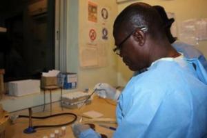 Clinical microbiologists processing samples of suspected meningitis cases