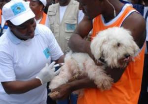 WHO calls on countries to eliminate rabies