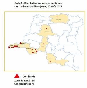 Poursuite de la campagne de vaccination préventive dans 47 zones de santé dont 32 à Kinshasa et 15 frontalières avec l’Angola : les résultats préliminaires donnent 86,9% à Kinshasa (J7), 46% au Kongo Central (J6), 35% au Kasaï Central (J2), 25% au Kasaï (J2), 24% à Lualaba (J4) et 15% au Kwango (J5). Il est à noter qu’à part Kinshasa, les complétudes sont encore faibles dans les autres provinces. Selon le rapport du comité de validation et classification des données de l’épidémie de la fièvre jaune en RDC, 