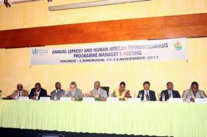 La table d’honneur de la réunion annuelle conjointe des responsables des programmes de lutte contre la trypanosomiase humaine africaine (THA) et la lèpre dans la Région africaine de l’OMS