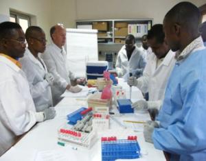 Laboratory practice - Yellow Fever IgM assay