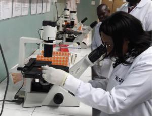 Dr Gumede-Moeletsi at the Ibadan Lab.