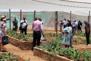 Guidance and Counselling teacher explaining elevatated vegetable garden plots