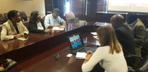 Left to Right (clockwise from top): Ms Segotso (UNFPA Asst Rep), Dr Seipone (DPS - MoHW), Dr Ovberedjo (WR Botswana), Dr Bodo (WHO Uganda), Dr Desta (WHO AFRO IST/ESA) and Dr Baltag (WHO HQ) during the debriefing session