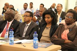 Representatives from Ministry of Health, UNDP and WHO attending the launching event