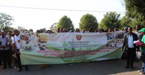 Feiras de Saúde e de Produtos Agrícolas