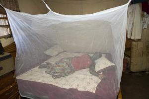 Women Sleeping in an Treated Insecticide treated net