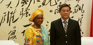 Dr Diallo et M. Chao