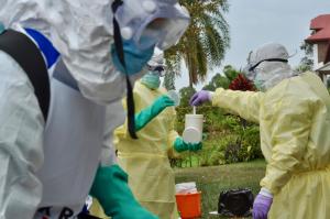 No link between two ongoing Ebola outbreaks in the Democratic Republic of the Congo