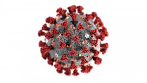 Coronavirus