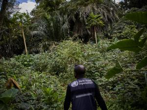 Réapparition du virus Ebola au Nord-Kivu en République démocratique du Congo