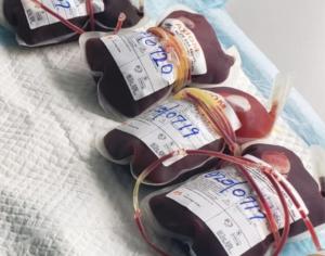 Blood products collected from donors  - photo credit
