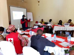 WHO, UNFPA, UNICEF host training on prevention of sexual exploitation and abuse in the Democratic Republic of the Congo