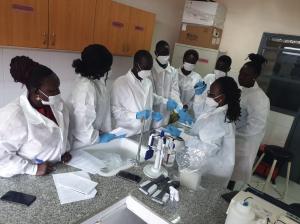 Technical Officers in the National Public Health Laboratory trained on yellow fever laboratory testing and confirmation