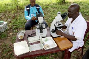 Améliorer le traitement des maladies tropicales négligées