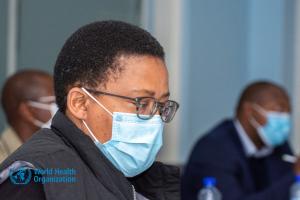 WHO holds health systems strengthening dialogue with private sector