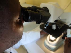 Ghana declares first-ever outbreak of Marburg virus disease