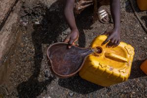 Cholera response