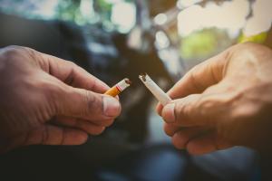 Anti-tobacco initiative yields results 