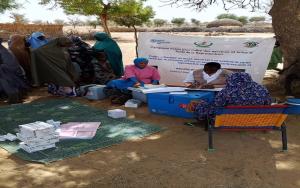  Mobile clinics enhance access to health care services in Niger