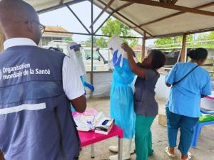 Tackling mpox through GOARN support and local collaboration in the Democratic Republic of the Congo.