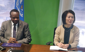 WHO Representative Dr. Fabian Ndezako engaging with Ms. Wenyan Yang, the new UN Resident Coordinator in Botswana