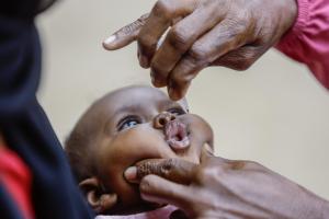 A baby receives oral polio vaccine drops during a childhood immunization activity.