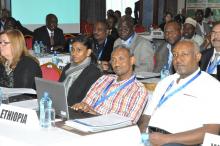Participants from Ethiopia and other countries follow proceedings